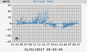 Wind Vector