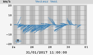 Wind Vector